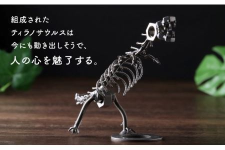 オールステンレスネジ恐竜　ティラノサウルス(全長250mm) [A-025001]