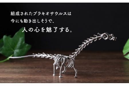 オールステンレスネジ恐竜　ブラキオサウルス(全長540mm) [A-025006]