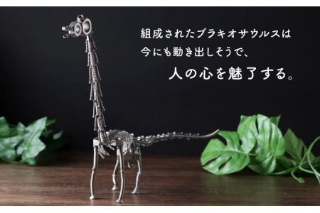 オールステンレスネジ恐竜　ブラキオサウルス(全長640mm) [C-025002]