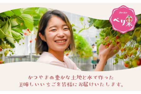 自家製カップいちごアイス 12個 [A-045001]