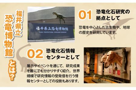 福井県立恐竜博物館 常設展観覧券 (一般 1名様と小・中学生 3名様) [A-048011]