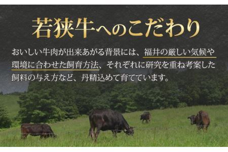 【福井のブランド牛肉】若狭牛 モモ肉 焼肉用 270g×2パック 計540g [B-058002]