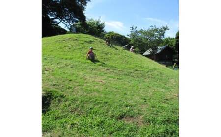 旭市 海上キャンプ場 バンガローA利用券(8~10名様用) 宿泊券 宿泊券 宿泊券 宿泊券 宿泊券 宿泊券 宿泊券