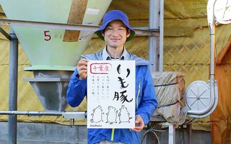豚ロース 800ｇ 【 豚ロース ask003 】千葉県産