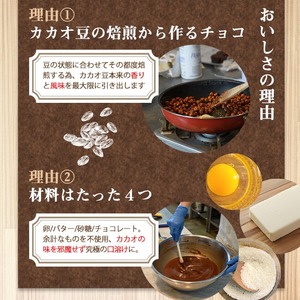 ＜数量限定＞ テリーヌショコラ (1本/300g) チョコレート ケーキ ガトーショコラ スイーツ 【man171】【サニーサイド】