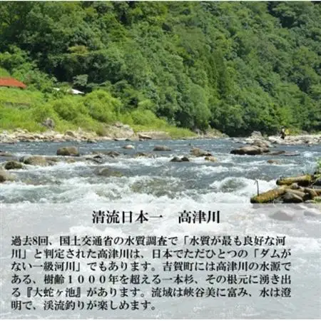 高津川天然あゆ冷凍　1200g(吉賀町)【配送不可地域：離島】【1259205】