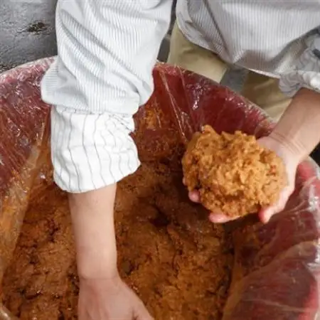 柿木味噌　3種類食べ比べセット(500g×各1袋　計1.5kg)【配送不可地域：離島】【1259219】