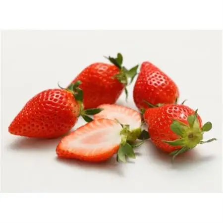 いちご農園フルッティロッシの完熟やよいひめ　約400g × 2パック_果物・フルーツ いちご  イチゴ 苺_【配送不可地域：離島】【1387356】