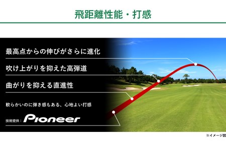 ブリヂストン ゴルフボール PHYZ ホワイト 1ダース