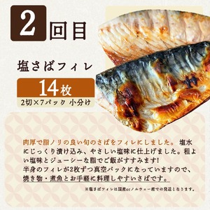G60-T41_【定期便 全4回】魚鶴商店が選ぶ人気お魚J(銀鮭切身・サバフィレ・魚切身・海鮮漬)