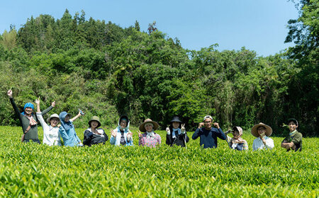 オーガニックのべにふうき緑茶 (85g×1個) BKBR001