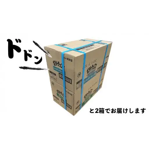 湖池屋 ポテトチップス 2種類アソート （のり塩・じゃがいもと塩）（各12袋・計24袋）