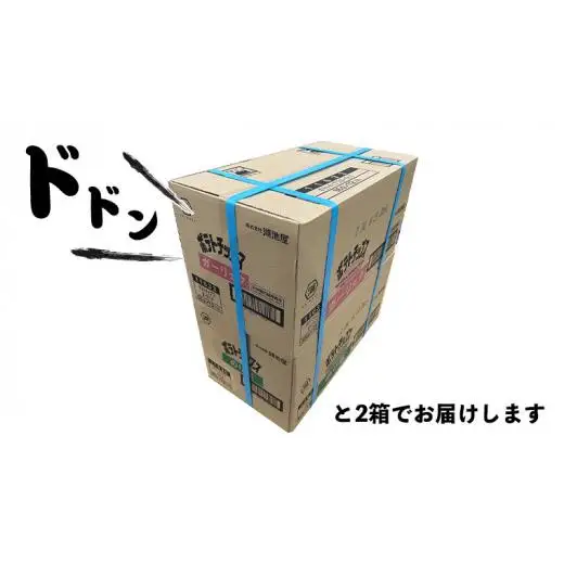 湖池屋 ポテトチップス 2種類アソート （のり塩・ガーリック）（各12袋・計24袋）
