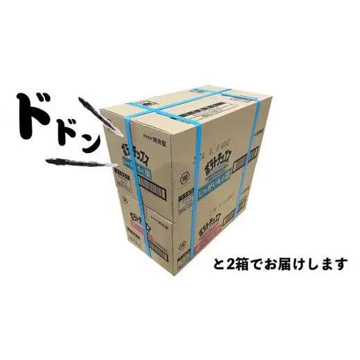 湖池屋 ポテトチップス 2種類アソート （じゃがいもと塩・ガーリック）（各12袋・計24袋）
