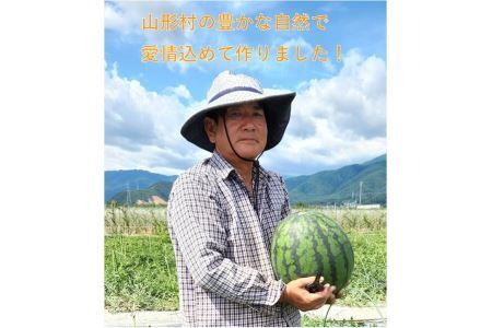 3206 山形村産 すいか「羅皇ザ・スウィート」 1玉（10kg前後）
