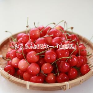 ＜先行予約＞さくらんぼ 佐藤錦 秀品 L 1kg 【2026年6月下旬頃発送】 山形県 朝日町産 農産物 フルーツ 山形産 バラ詰め サクランボ 高級 果物 初夏