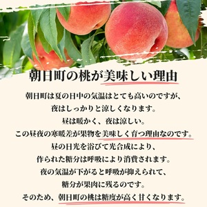 ＜先行予約＞白桃 あかつき 3kg 9～12個 秀品 【2026年8月中旬発送】山形県 朝日町産 農家直送 山形産 もも モモ 桃 ピーチ 果物 フルーツ 夏