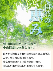 ＜先行予約＞白桃 川中島 3kg 9～12個 秀品 【2026年8月下旬発送】 農家直送 山形県 朝日町産 山形産 もも モモ 桃 ピーチ 果物 フルーツ 夏 送料無料 糖度 クール便 冷蔵便