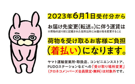 【幻の逸品！？ 】朝日町 地酒 豊龍 1.8L 山形県 日本酒 一升 1800ml 