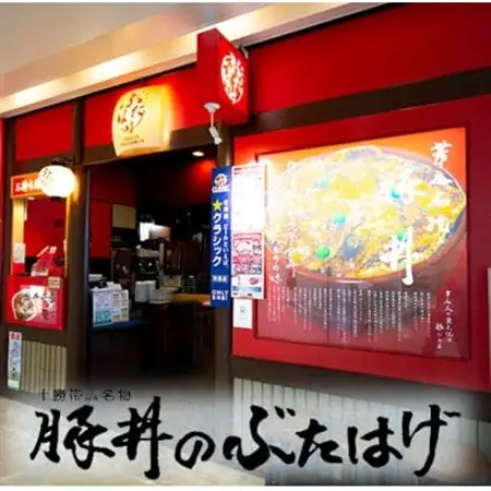 豚丼のぶたはげ「極撰豚丼セット10人前」_肉  豚肉   調味料 こしょう  コショウ 胡椒  調味料   _【配送不可地域：離島】【1482250】