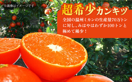 【2026年12月先行予約】【家庭用】みはや 約3kg[ECL004] 長崎 長崎みかん