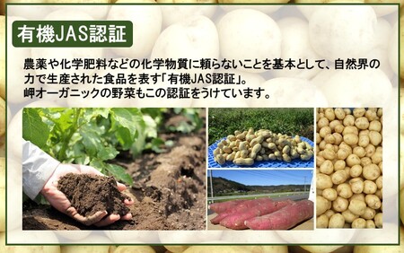 【先行予約】【訳あり】朝収穫してその日に発送！有機栽培じゃがいも5kg（品種：ニシユタカ）_2355R