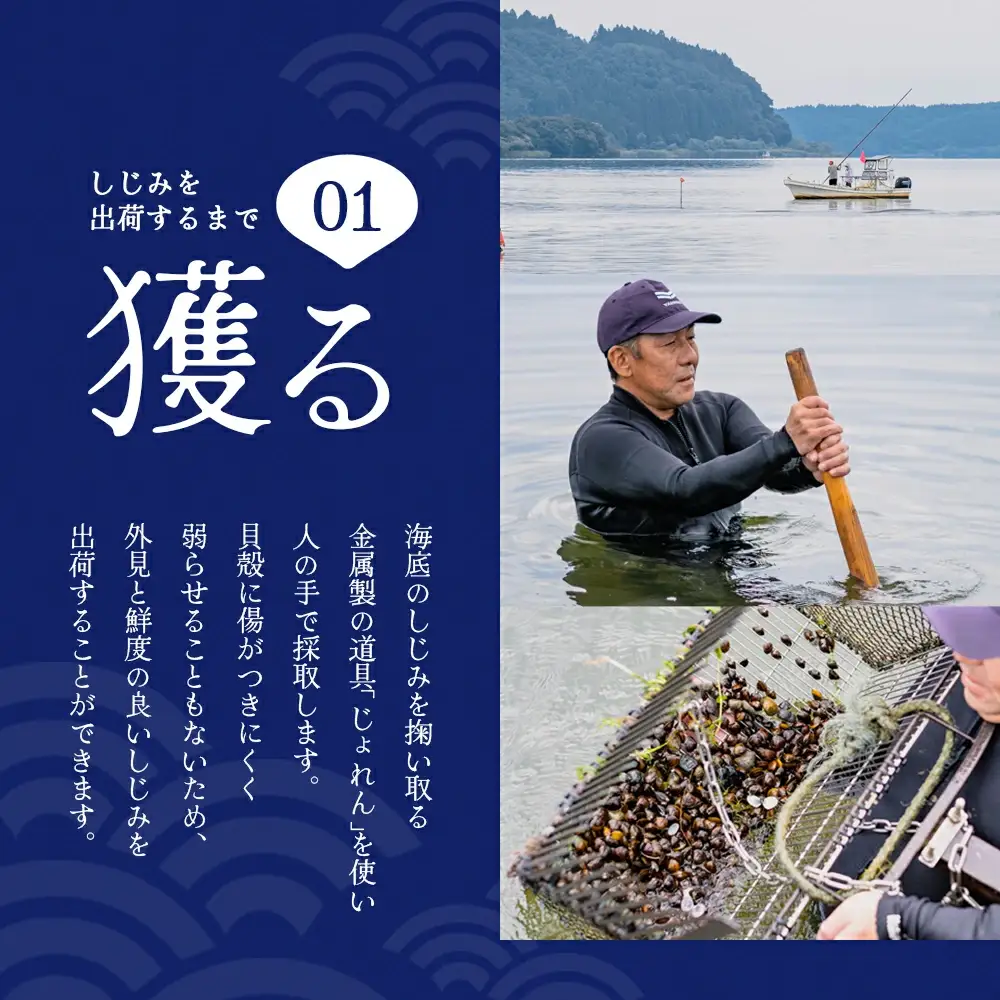 砂抜き済みで手間いらず！冷凍・小川原湖産大和しじみ2kg（500g×4袋）　【02408-0084】