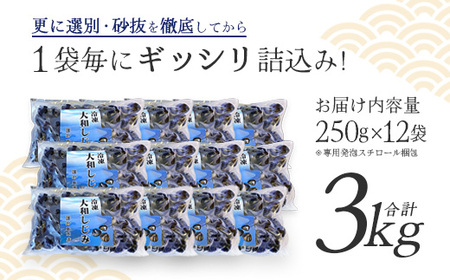 砂抜き済みで手間いらず！冷凍・小川原湖産大和しじみ BIG 3kg（250g×12袋）【02408-0075】