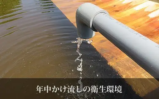 モール温泉「兜（かぶと）すっぽん」鍋　醤油・生姜味5セット（すっぽん肉入りスープ5）　【02408-0022】