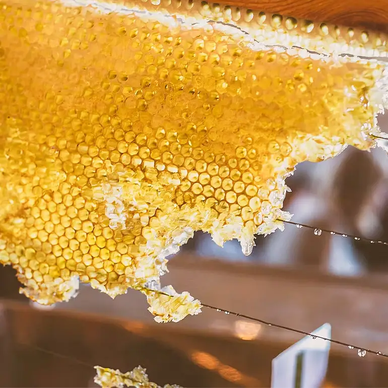 はちみつ 安芸高田はちみつ 200g×2本セット ハチミツ 蜂蜜