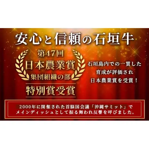 石垣牛100％ ハンバーグ　(100ｇ×10個)【化粧箱入り】　  ID-1