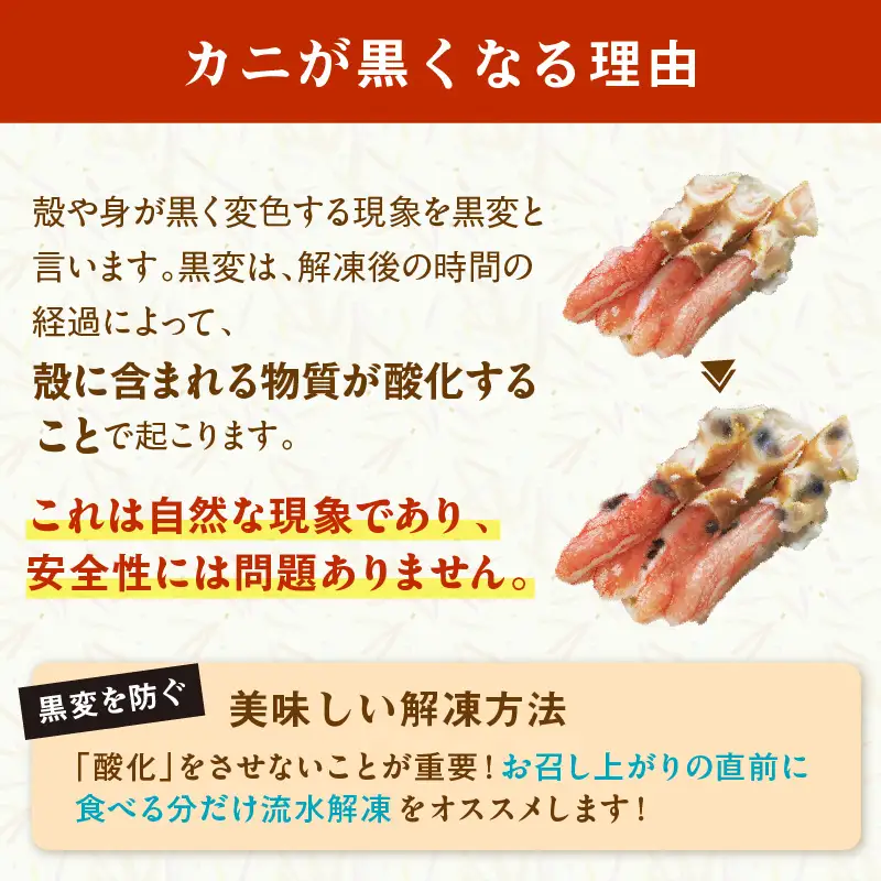 北見市加工 生冷本ズワイガニセット 1kg 昆布入り ( 蟹 かに 魚介類 カニ鍋 ズワイガニ ふるさと納税 贈答 熨斗 )【094-0079】