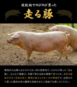 菊池やまあいの豚小間スライス 2kg 《90日以内に出荷予定》(土日祝除く)》1パック200g 豚肉 豚小間 スライス済み 小分け 熊本県産 九州産 国産 冷凍 送料無料