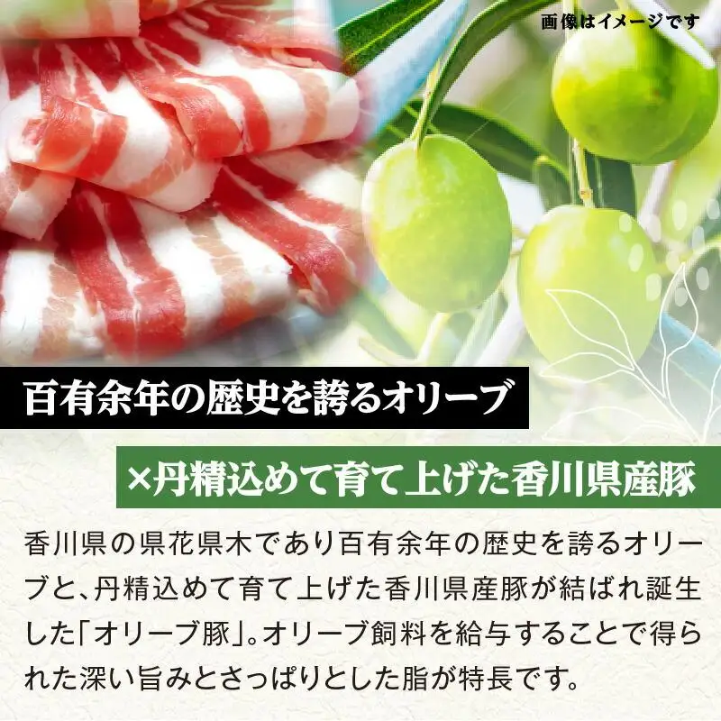 【3ヶ月定期便】しゃぶまるセット　オリーブ豚定期便