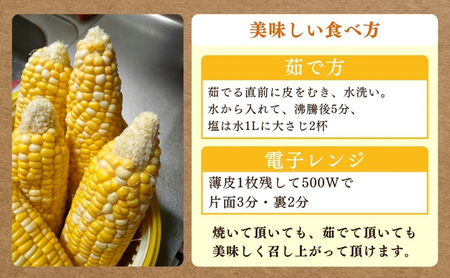 とうもろこし 先行予約 甘々娘 12～14本 朝獲れ 産地直送 夏 旬 夏野菜 コーン 2026年