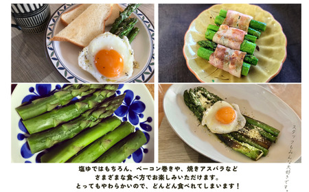 KY02 朝採りアスパラガス 約2kg （冷蔵便） ／ 2026年4月中旬頃～順次発送 // 長野県産 南信州産 春アスパラ 夏アスパラ アスパラ 野菜