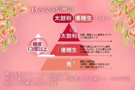 JA02 桃 あかつき 約3kg / 2026年7月下旬～8月上旬頃 配送予定 // 贈答 センサー選別 糖度センサー 桃 もも 果物 フルーツ ギフト あかつき 太鼓判 優糖生
