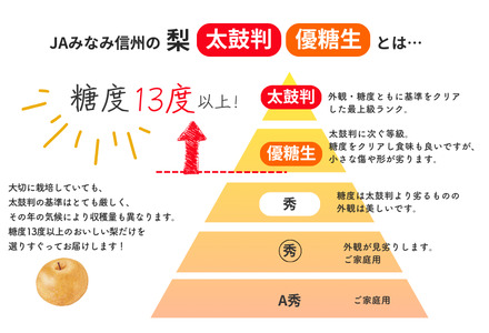 JA05　梨 幸水 約5kg／2026年8月中旬～9月上旬頃 配送予定 // 贈答 センサー選別 糖度センサー 梨 なし ナシ 果物 フルーツ ギフト 幸水 太鼓判 優糖生