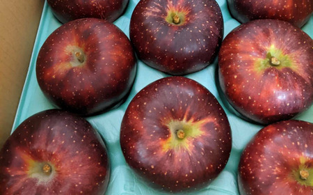 JA12　りんご 秋映 約5kg ／2026年10月上旬ごろ配送予定 // 長野県 オリジナル品種 南信州産 贈答 南信州ブランド りんご三兄弟 人気 甘い 濃厚