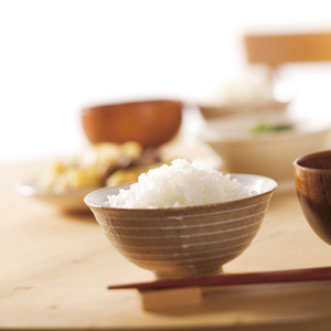 【たんぱく質調整食品】【12ヶ月定期便】 1/25 越後ごはん 小盛 140g×30個×12回 バイオテックジャパン 越後シリーズ 1V30264