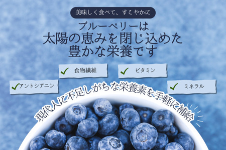 KB01 ブルーベリー 約1.2kg ／2026年6月下旬頃から発送予定//南信州 国産 長野県産 ブルーベリー 大粒 甘い 人気 新鮮 厳選 贈答