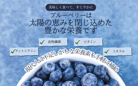 KB05 冷凍ブルーベリー 約1kg【2Lサイズ以上】／2026年8月上旬頃から順次発送｜ 長野県 南信州 松川町 摘みたて 朝摘み 新鮮 安全 産地直送 農家直送 大粒 2Lサイズ以上 冷凍 ブルーベリー 果物 フルーツ