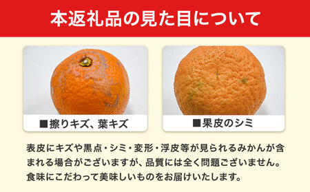 熟成清見オレンジ 5kg 柑橘 オレンジ