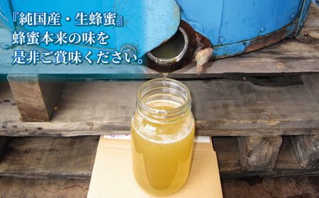 百花蜜 500g ギフト箱入 元気や 非加熱 はちみつ 国産はちみつ 百花蜂蜜 純粋はちみつ 生はちみつ 生蜂蜜 蜂蜜 ハニー ギフト プレゼント 贈答用 数量限定 産地直送 国産 愛媛 宇和島 F014-176004