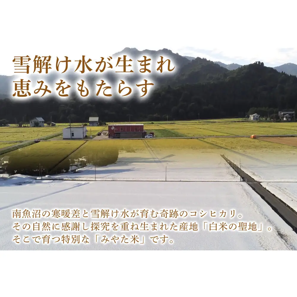 【令和7年産】【定期便6ヶ月】南魚沼産こしひかり　みやた米5kg【定期便 銘柄米 ブランド米 精米 こしひかり コシヒカリ 魚沼産 新潟米 産地直送 お米 米 こめ コメ ご飯 御飯 ごはん】