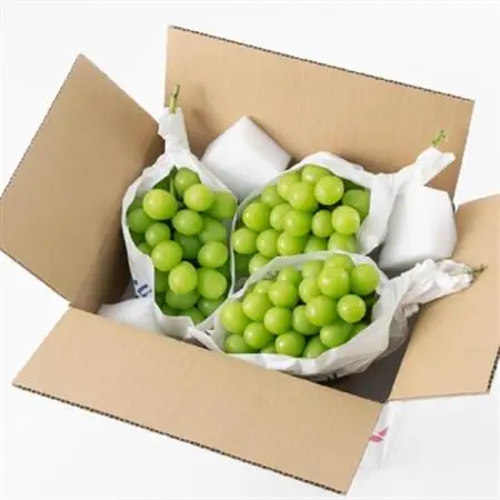 【2026年発送】山梨市産「シャインマスカット(種なし)」 約1.65kg (約550g×3房)【配送不可地域：離島・沖縄県】【1117302】