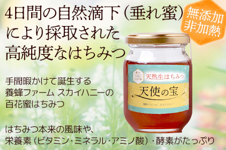 【垂れ蜜】日本みつばち 蜂蜜「天使の宝」2個 セット 希少 ニホンミツバチ 100％ はちみつ 高純度 高濃度 自然落下 無添加 ハチミツ 蜂蜜 ハニー ハチミツ 094-0003