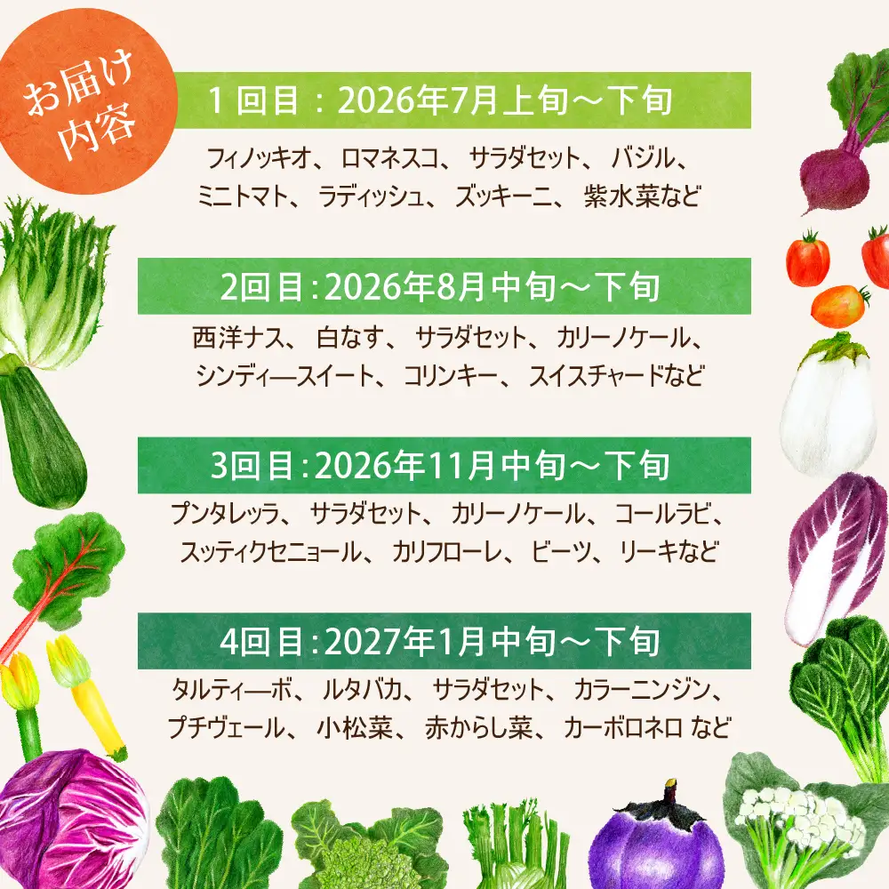 定期便 4回 季節のイタリア野菜 野菜 セット 定期便 野菜