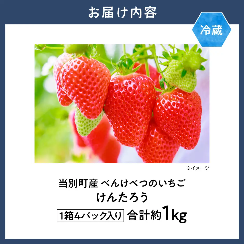 【2026年先行予約】べんけべつのいちご けんたろう 約1kg (1箱4パック入り)  | イチゴ いちご べんけべつのいちご 道産子イチゴ