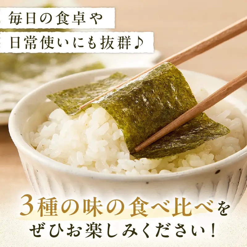 有明海 柳川産 海苔詰合せ(10本入り)【A5-336】